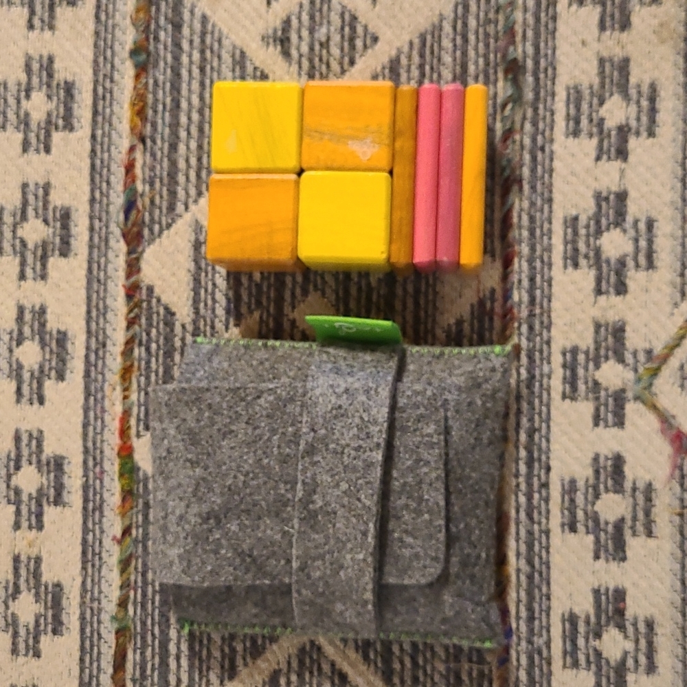 Tegu Magnetic Blocks with Pouch